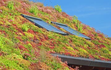 Higher Chillington living roof systems