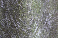 Higher Chillington fibreglass roof work